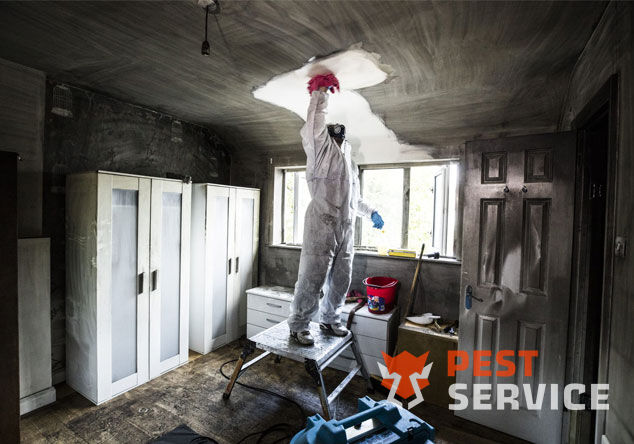 Профессиональная уборка помещений после пожара в Калуге от 2500 руб: удаление сажи, копоти и запаха гари, глубокая очистка поверхностей и восстановление чистоты. Быстро, безопасно и эффективно.